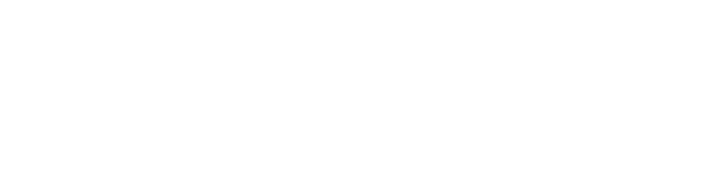 Sponsor