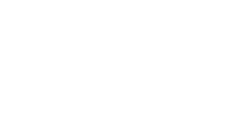 Sponsor